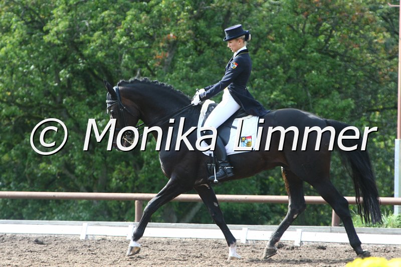 109M4540_Don Vito_Dressur Sxx.JPG